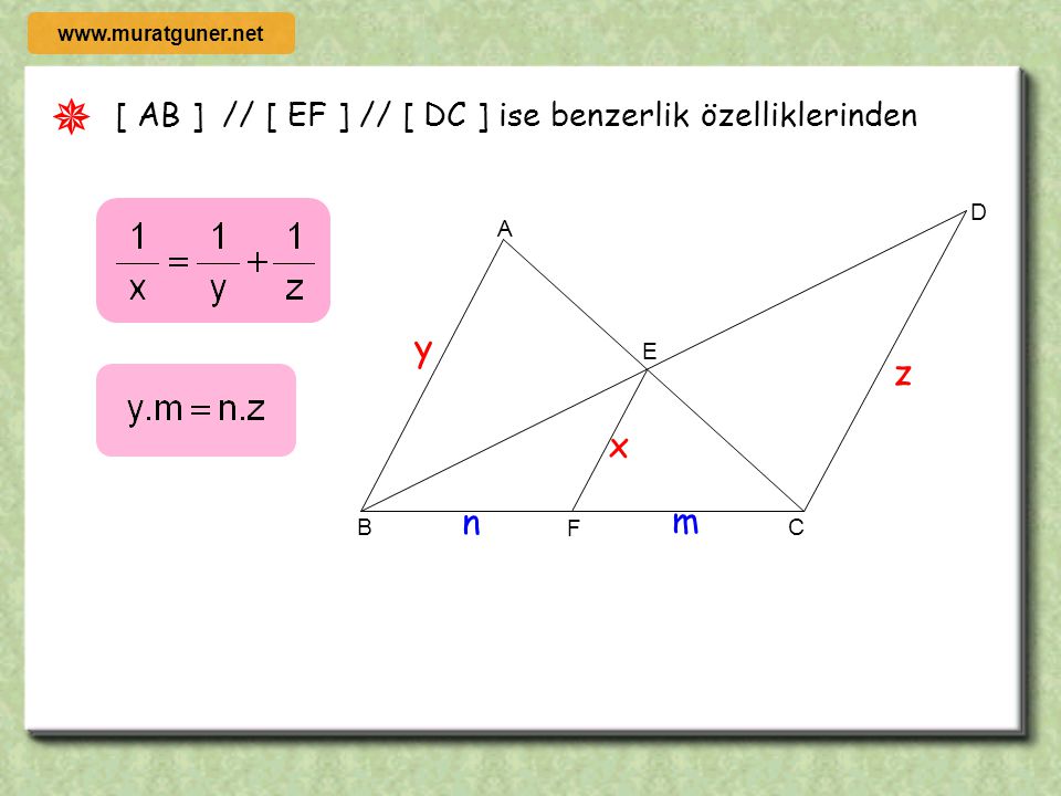  y z x n m [ AB ] // [ EF ] // [ DC ] ise benzerlik özelliklerinden C