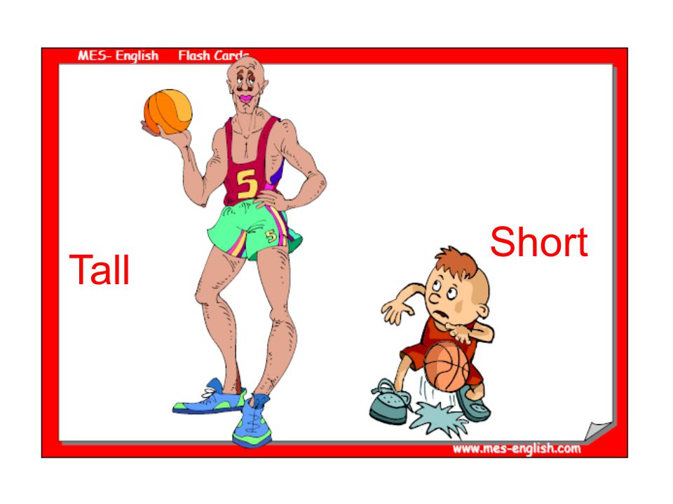 Small vs tall pictures