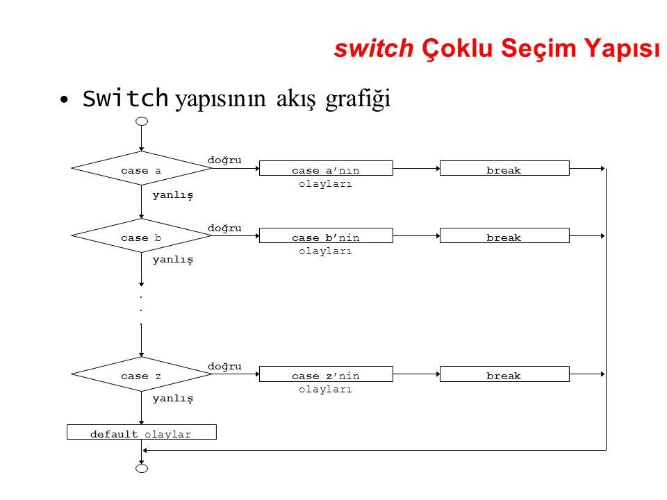 switch Çoklu Seçim Yapısı