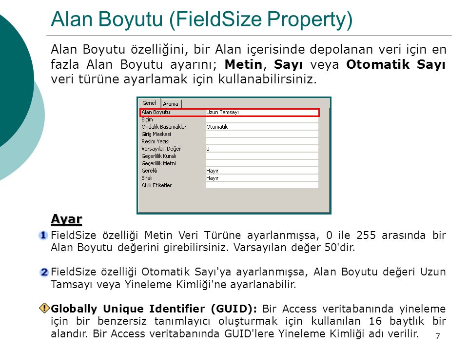 Alan Boyutu (FieldSize Property)