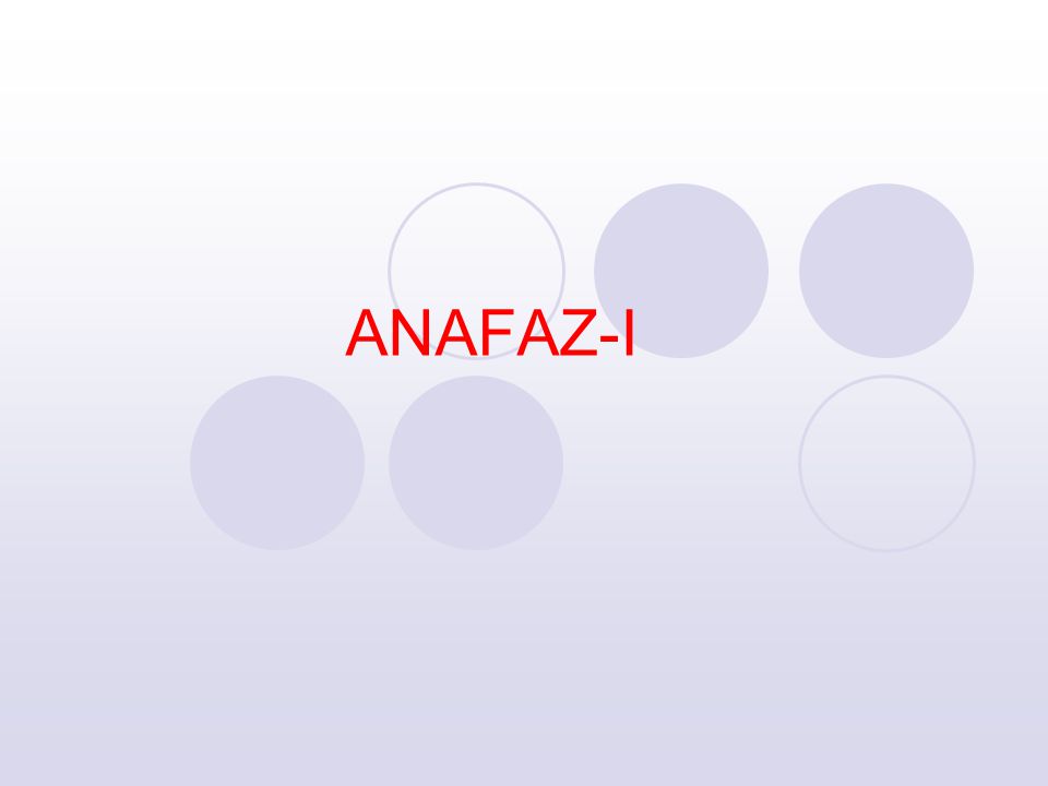 ANAFAZ-I