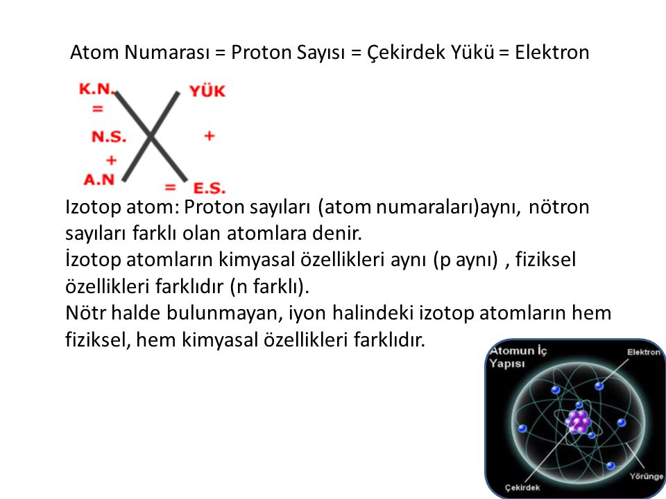 Atom Numarası = Proton Sayısı = Çekirdek Yükü = Elektron Sayısı İzotop atom: Proton sayıları (atom numaraları)aynı, nötron sayıları farklı olan atomlara denir.