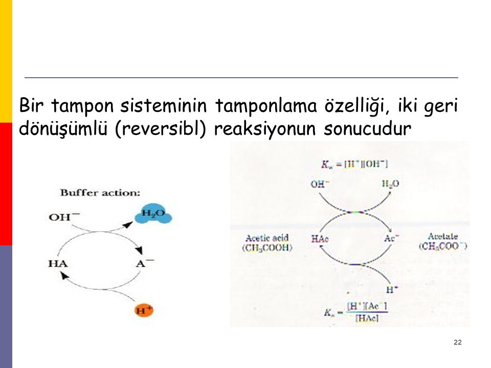 Bir tampon sisteminin tamponlama özelliği, iki geri dönüşümlü (reversibl) reaksiyonun sonucudur