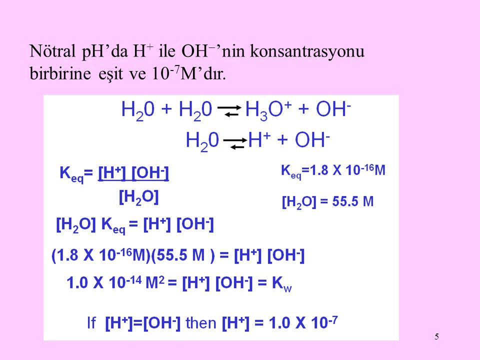 Nötral pH’da H+ ile OH’nin konsantrasyonu birbirine eşit ve 10-7M’dır.