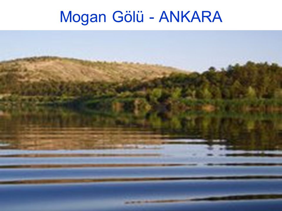 Mogan Gölü - ANKARA