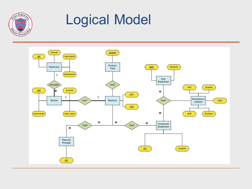 Logical Model