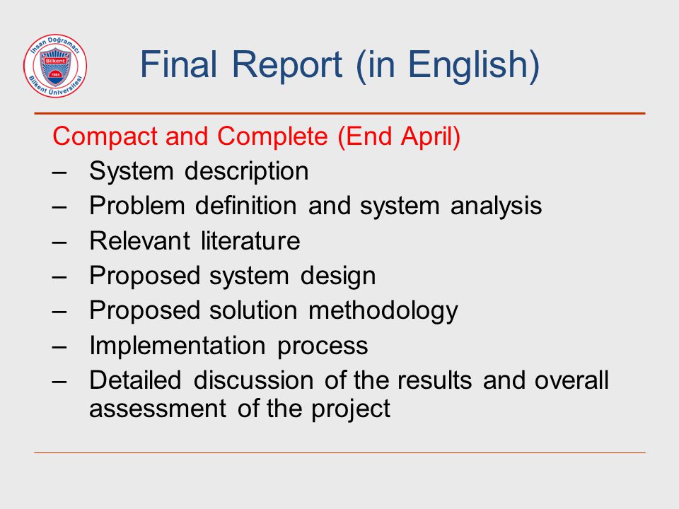 Final Report (in English)