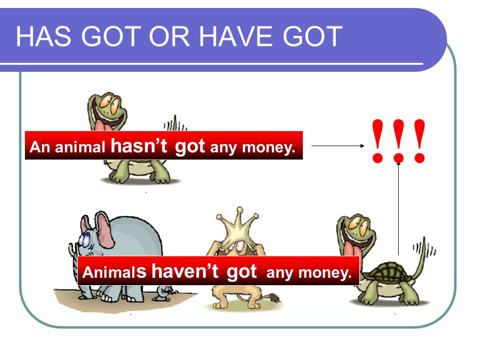 !!! HAS GOT OR HAVE GOT An animal hasn’t got any money.