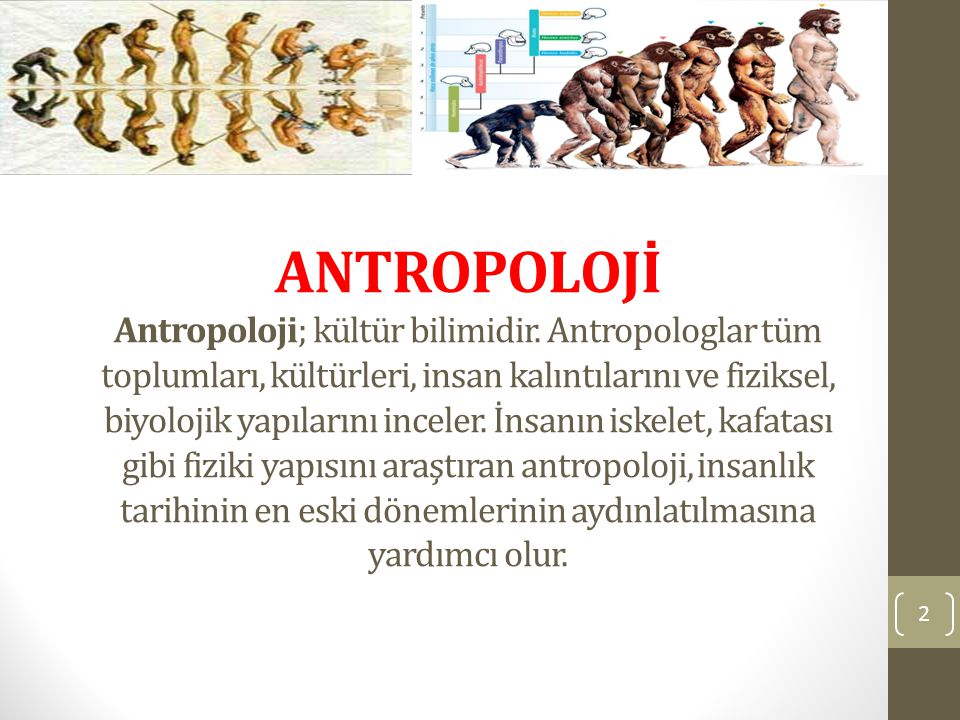 ANTROPOLOJİ Antropoloji; kültür bilimidir