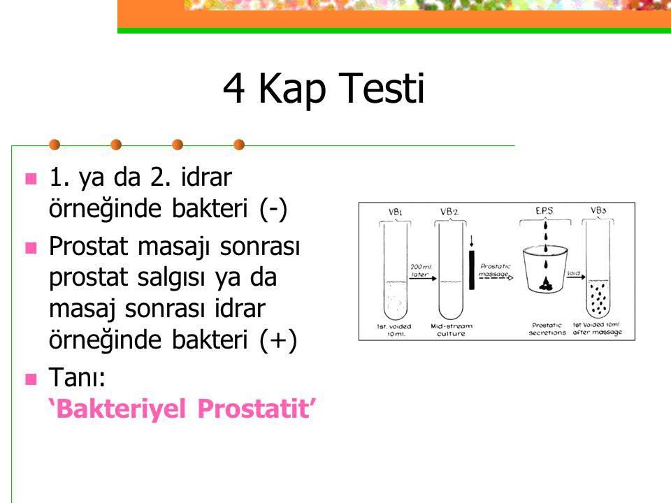 4 Kap Testi 1. ya da 2. idrar örneğinde bakteri (-)