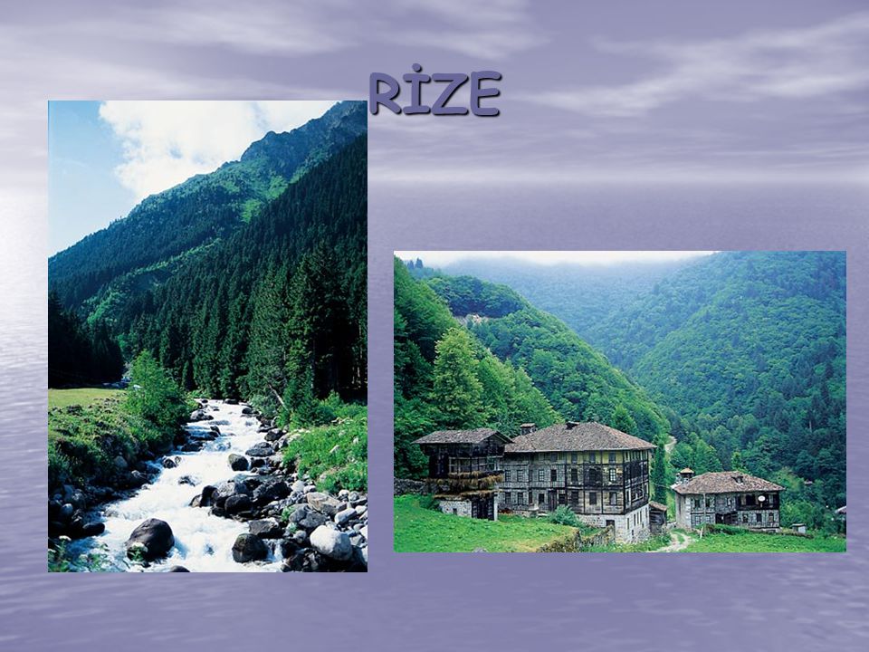 RİZE
