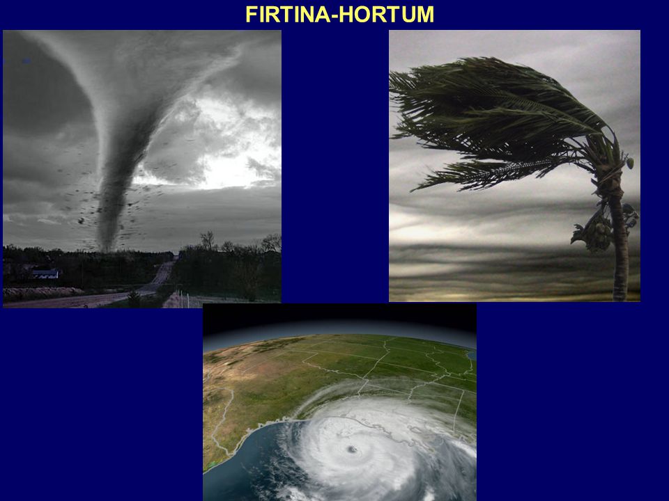 FIRTINA-HORTUM