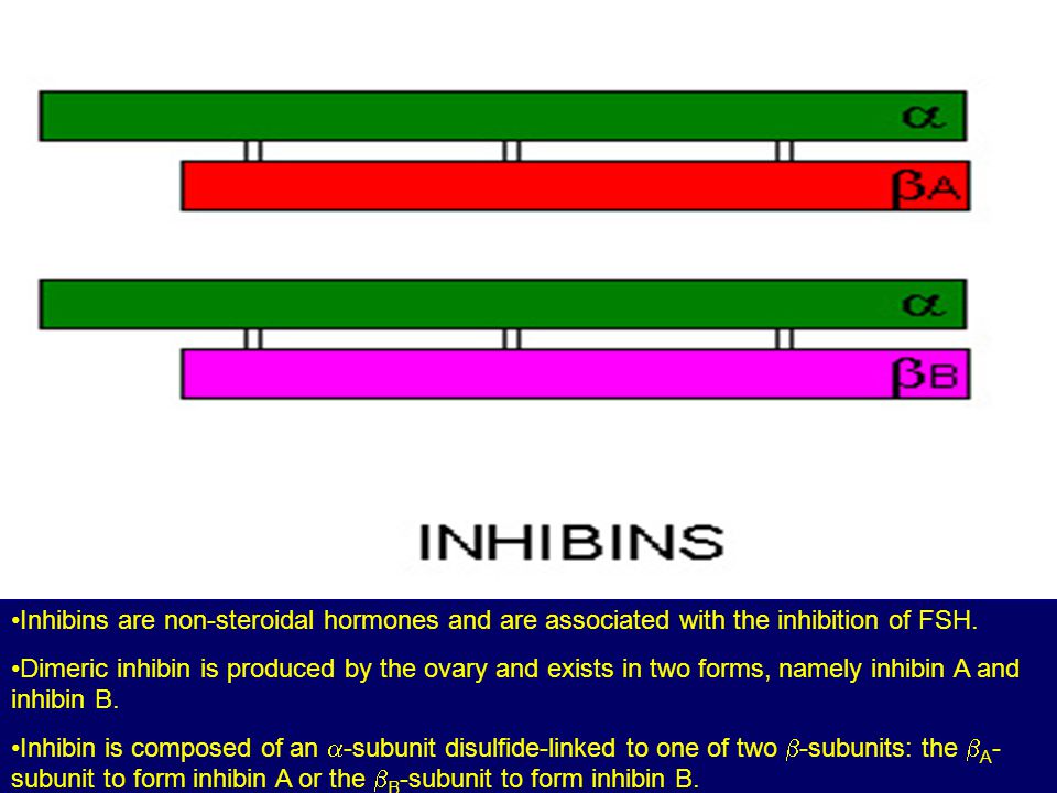 Inhibins are non-steroidal hormones and are associated with the inhibition of FSH.