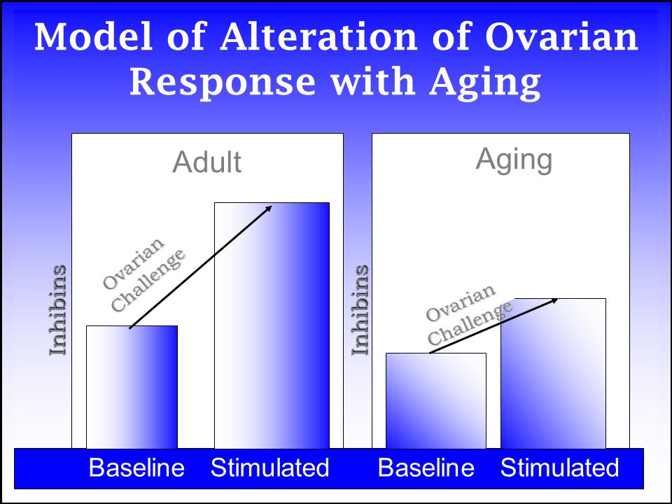 Model of Alteration of Ovarian Response with Aging