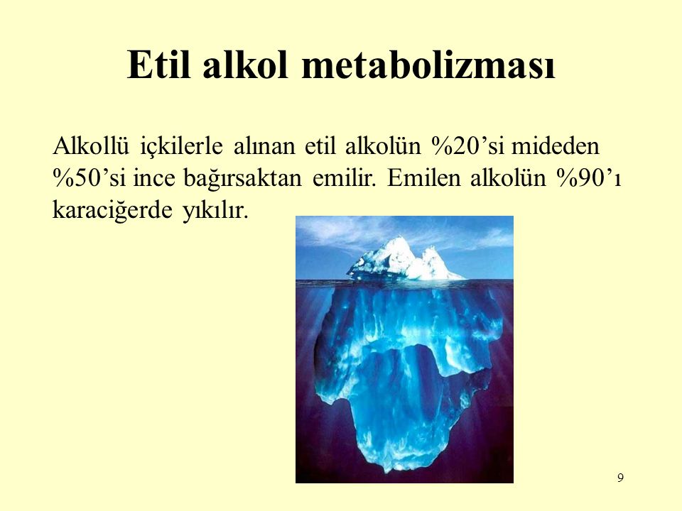 Etil alkol metabolizması