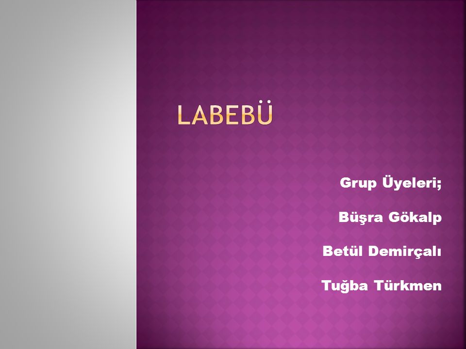 Grup Üyeleri; Büşra Gökalp Betül Demirçalı Tuğba Türkmen