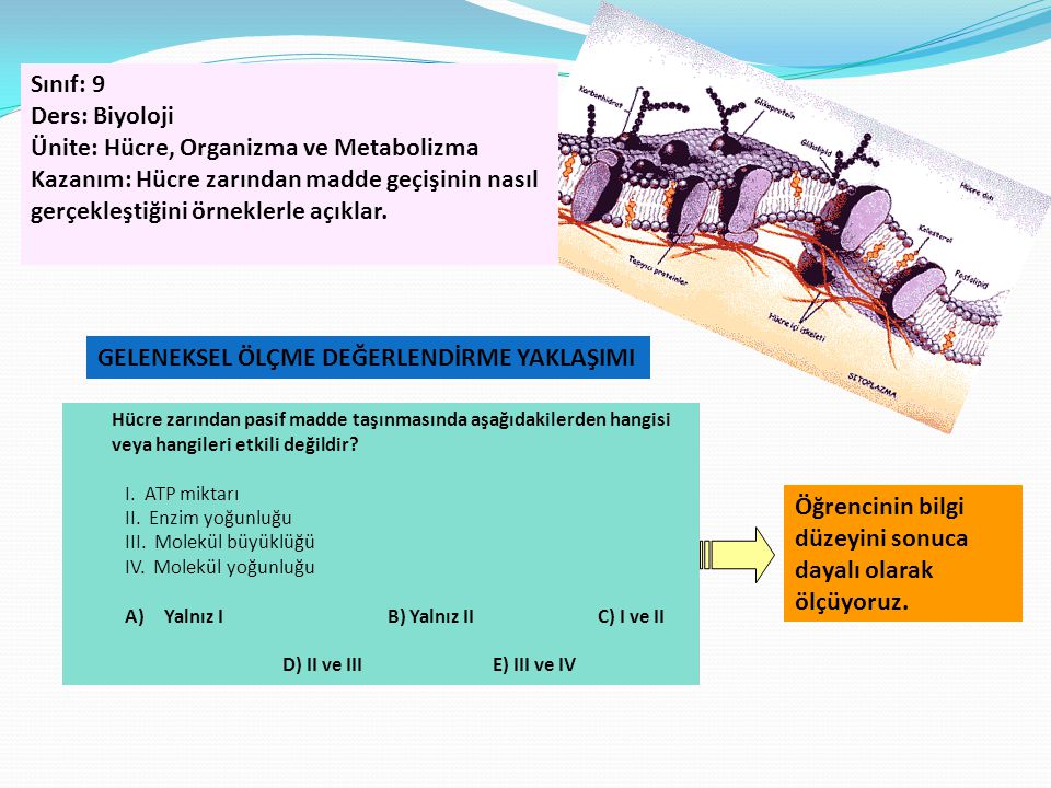 Ünite: Hücre, Organizma ve Metabolizma