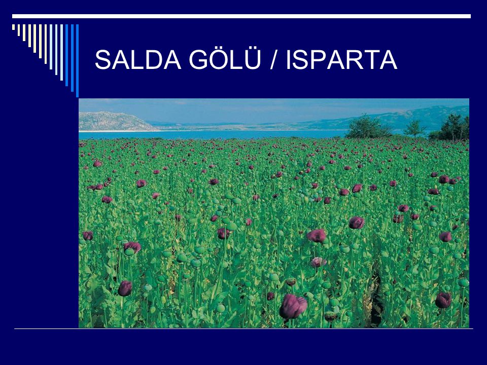 SALDA GÖLÜ / ISPARTA