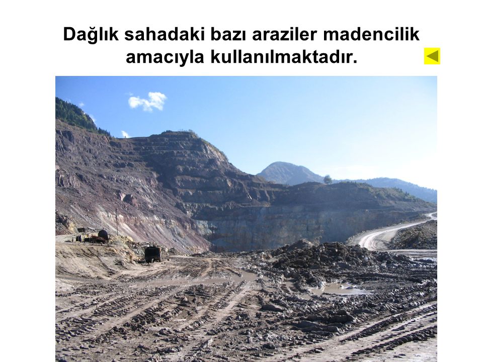 Dağlık sahadaki bazı araziler madencilik amacıyla kullanılmaktadır.