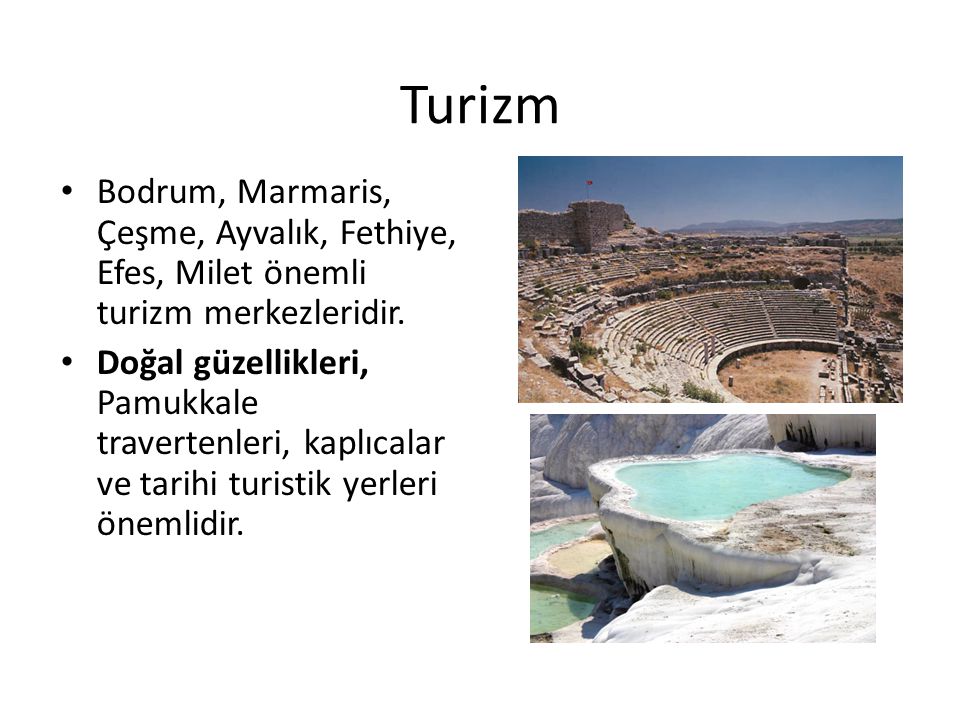 Turizm Bodrum, Marmaris, Çeşme, Ayvalık, Fethiye, Efes, Milet önemli turizm merkezleridir.