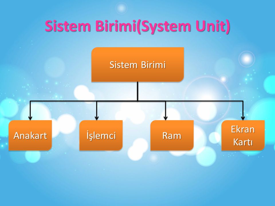 Sistem Birimi(System Unit)