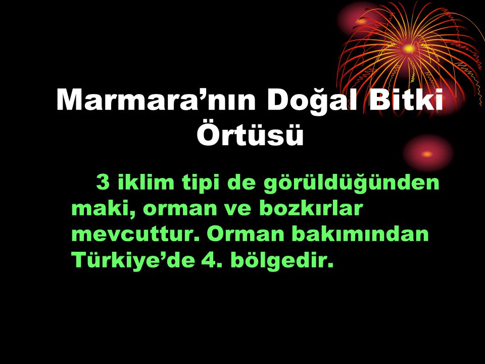 Marmara’nın Doğal Bitki Örtüsü
