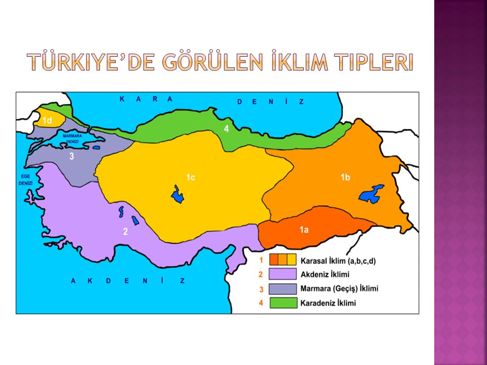 Türkiye’de Görülen İklim Tipleri