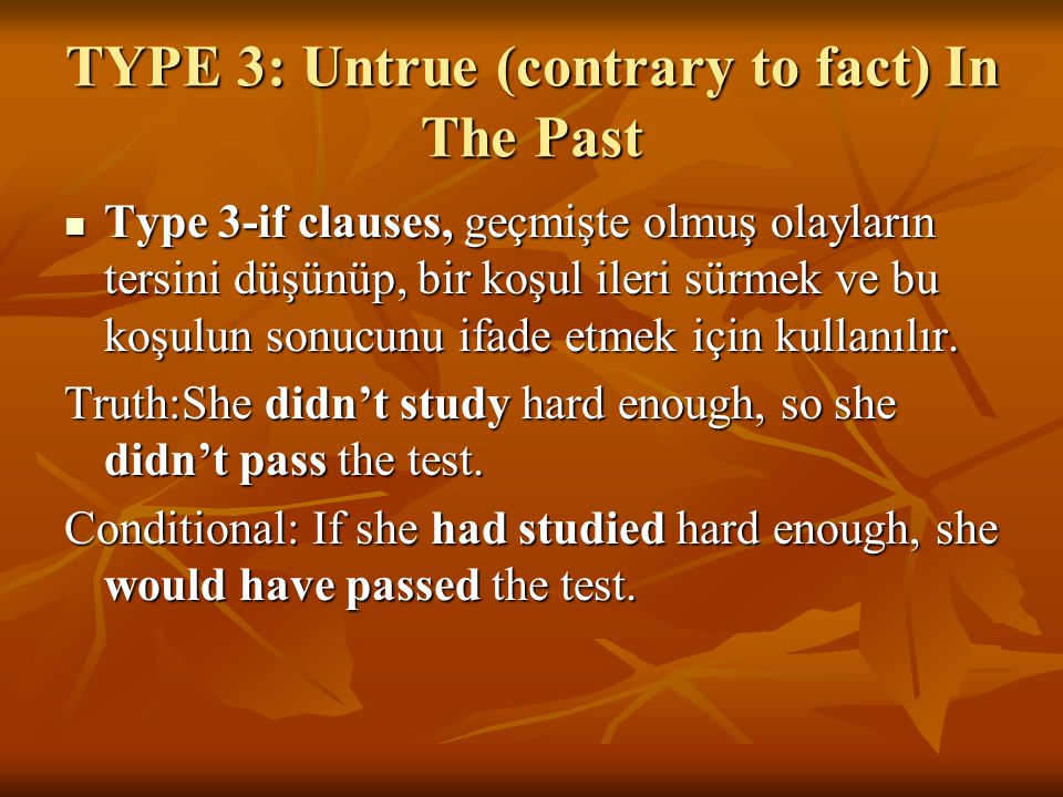 TYPE 3: Untrue (contrary to fact) In The Past