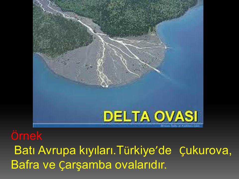 Örnek Batı Avrupa kıyıları.Türkiye’de Çukurova, Bafra ve Çarşamba ovalarıdır.