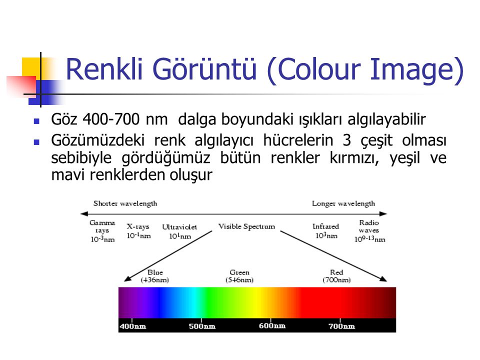 Renkli Görüntü (Colour Image)