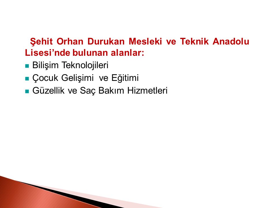 Şehit Orhan Durukan Mesleki ve Teknik Anadolu Lisesi’nde bulunan alanlar: