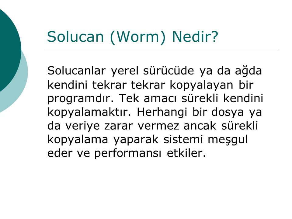 Solucan (Worm) Nedir