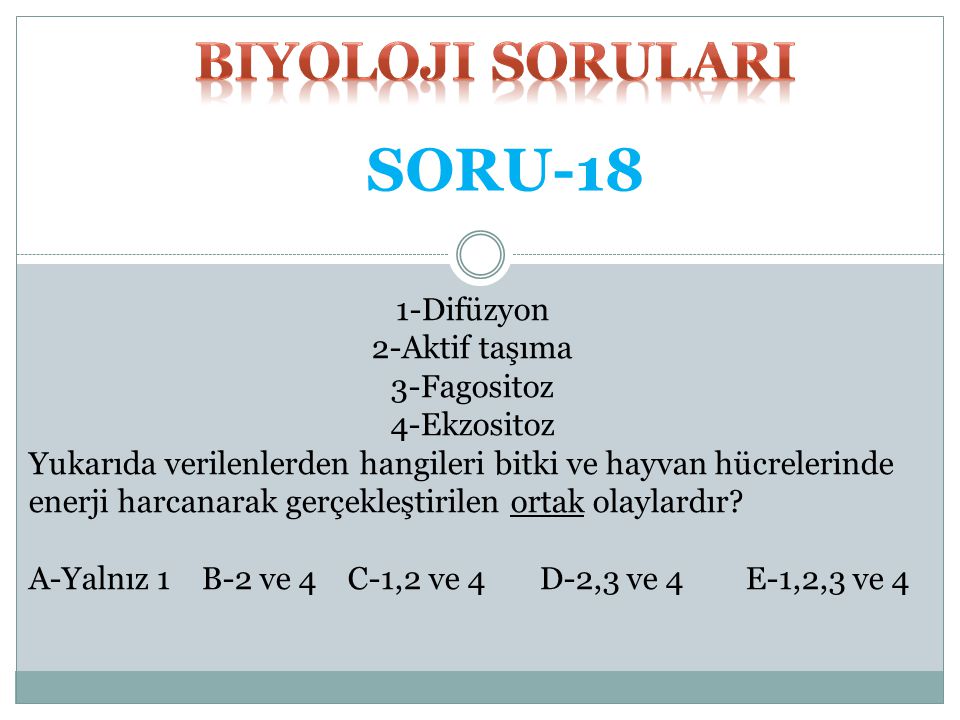 SORU-18 biyoloji SORULARI 1-Difüzyon 2-Aktif taşıma 3-Fagositoz