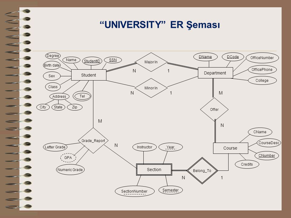 UNIVERSITY ER Şeması