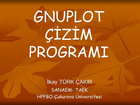 GNUPLOT ÇİZİM PROGRAMI İlkay TÜRK ÇAKIR SANAEM- TAEK HPFBO-Çukurova Üniversitesi.