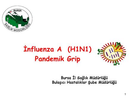 İnfluenza A (H1N1) Pandemik Grip