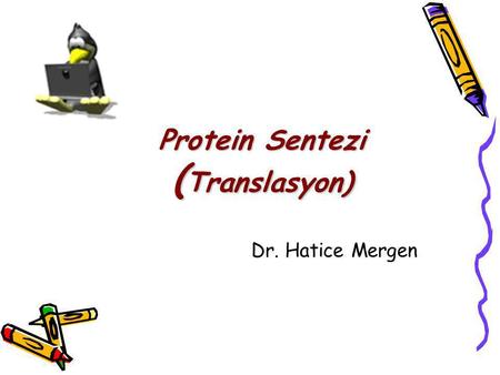 Protein Sentezi (Translasyon)