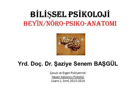 BİLİŞSEL PSİKOLOJİ BEYİN/Nöro-Psiko-Anatomi