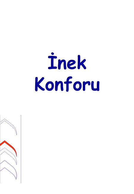 İnek Konforu This presentation will deal with the subject Cubicle Design and with special emphasis on the design of the partition. The first documented.