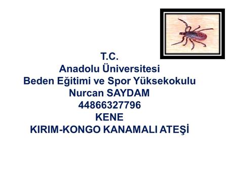 T.C. Anadolu Üniversitesi Beden Eğitimi ve Spor Yüksekokulu Nurcan SAYDAM 44866327796 KENE KIRIM-KONGO KANAMALI ATEŞİ.