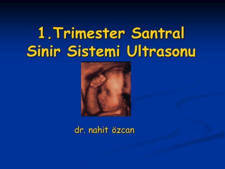 1.Trimester Santral Sinir Sistemi Ultrasonu