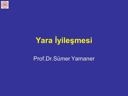 Yara İyileşmesi Prof.Dr.Sümer Yamaner.