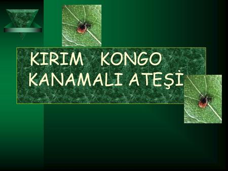 KIRIM KONGO KANAMALI ATEŞİ. Hastalık her yıl Nisan-Eylül ayları arasında görülmekte ve Temmuz ayında pik yapmaktadır. 2002 yılında başlayan salgın halen.
