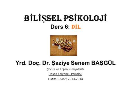 BİLİŞSEL PSİKOLOJİ Ders 6: DİL