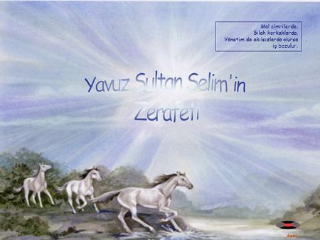 Yavuz Sultan Selim'in Zerafeti Mal cimrilerde, Silah korkaklarda,