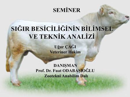 SIĞIR BESİCİLİĞİNİN BİLİMSEL VE TEKNİK ANALİZİ