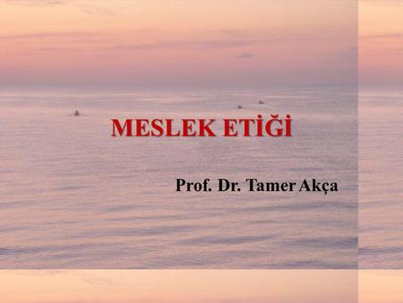 MESLEK ETİĞİ Prof. Dr. Tamer Akça.