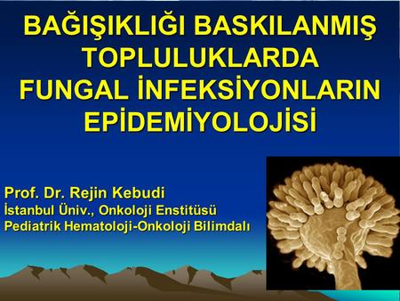 Prof. Dr. Rejin Kebudi İstanbul Üniv., Onkoloji Enstitüsü