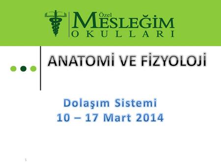 ANATOMİ VE FİZYOLOJİ Dolaşım Sistemi 10 – 17 Mart 2014.