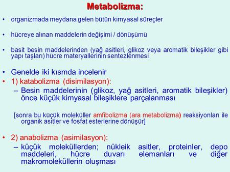 Metabolizma: Genelde iki kısmda incelenir